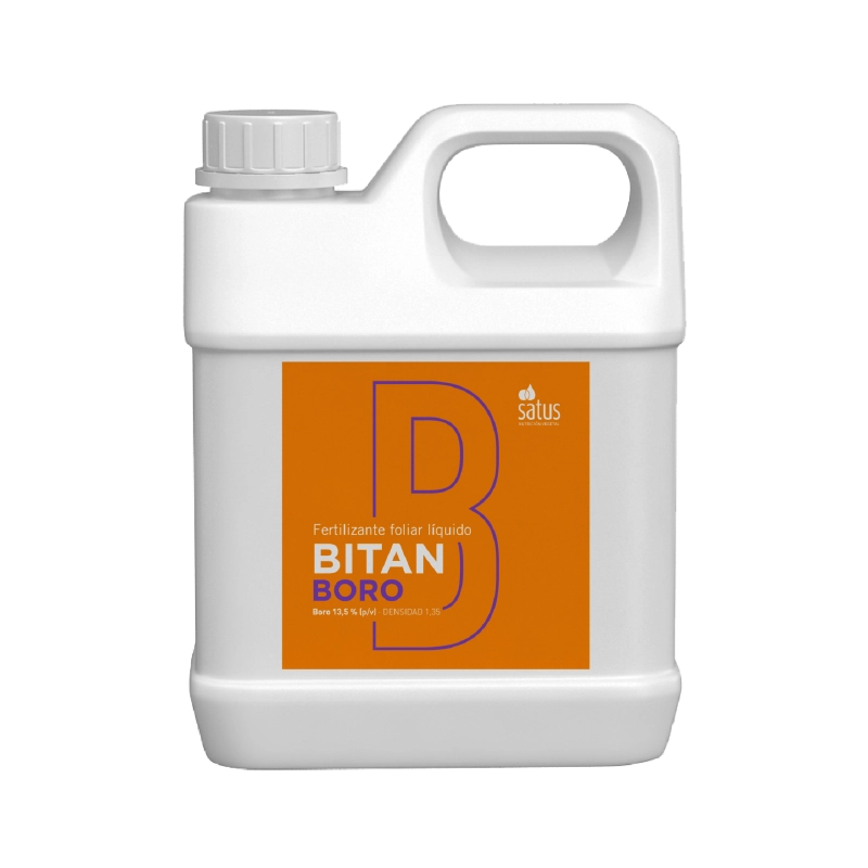 BITAN Boro